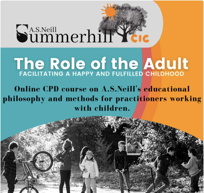 The Role of the Adult Online Course Programme